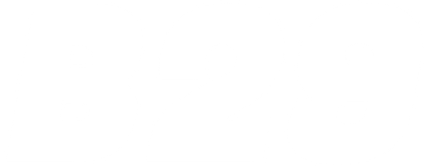 B29